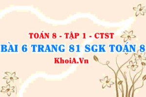 Bài 6 trang 81 SGK Toán 8 Tập 1 Chân trời sáng tạo